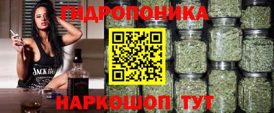шишки Рузаевка