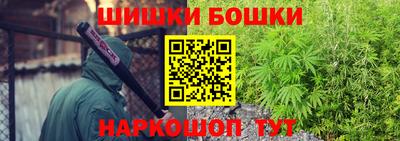 шишки Рузаевка