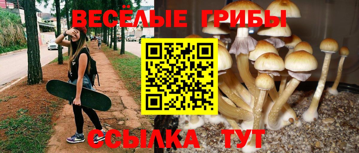 Псилоцибиновые грибы MAGIC MUSHROOMS  Вход с VPN  Протвино 